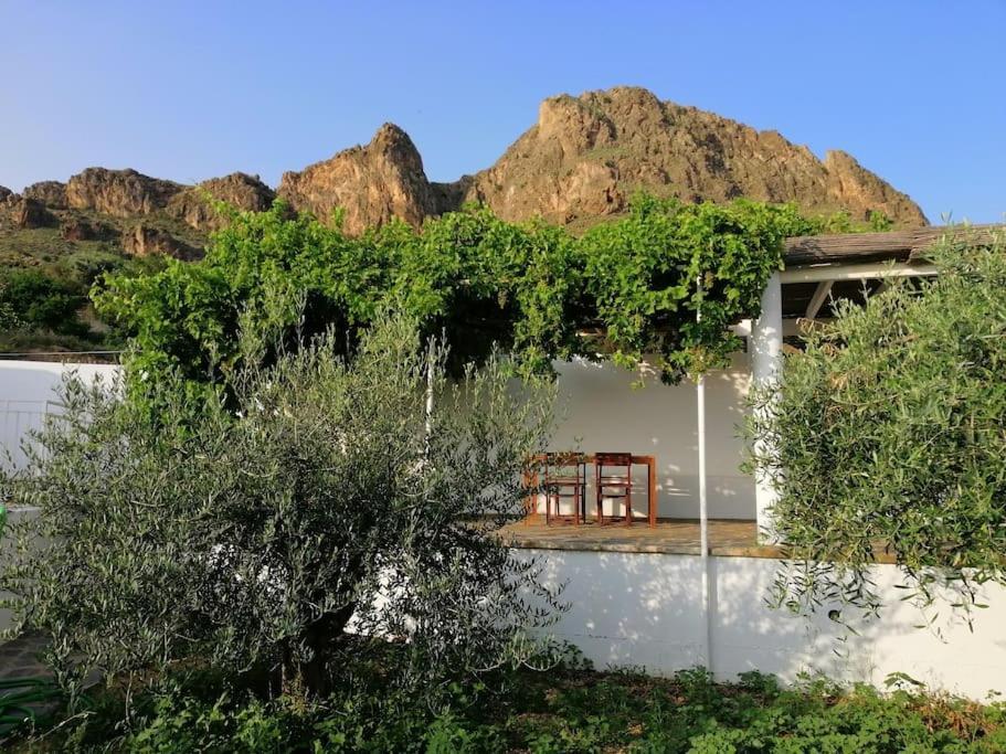 Вилла Casa Jardin. Vivienda Rural En Zona Tranquila. Лукайнена-де-лас-Торрес Экстерьер фото